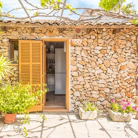 Holiday home Finca Padre